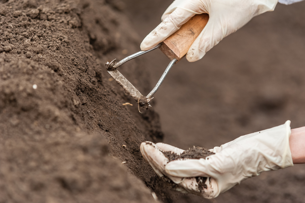 improving potential crop yield